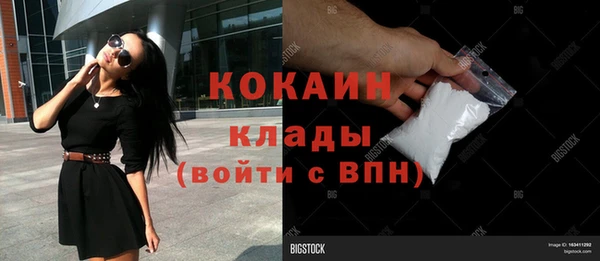 соль ск Лиски