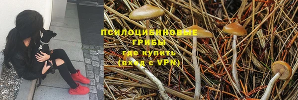 гашишное масло Лабытнанги
