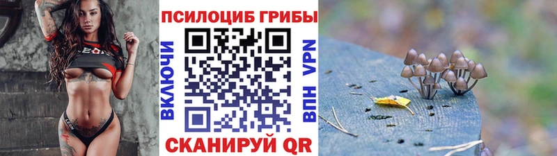 Галлюциногенные грибы мицелий  Макаров 